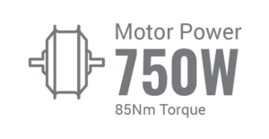 Pedego- MOTO specification: 750w power output with 85nm torque.
