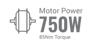 Pedego- Graphic icon of a CARGO flanked by text stating "motor power 750w" and "85nm torque" on a green background.