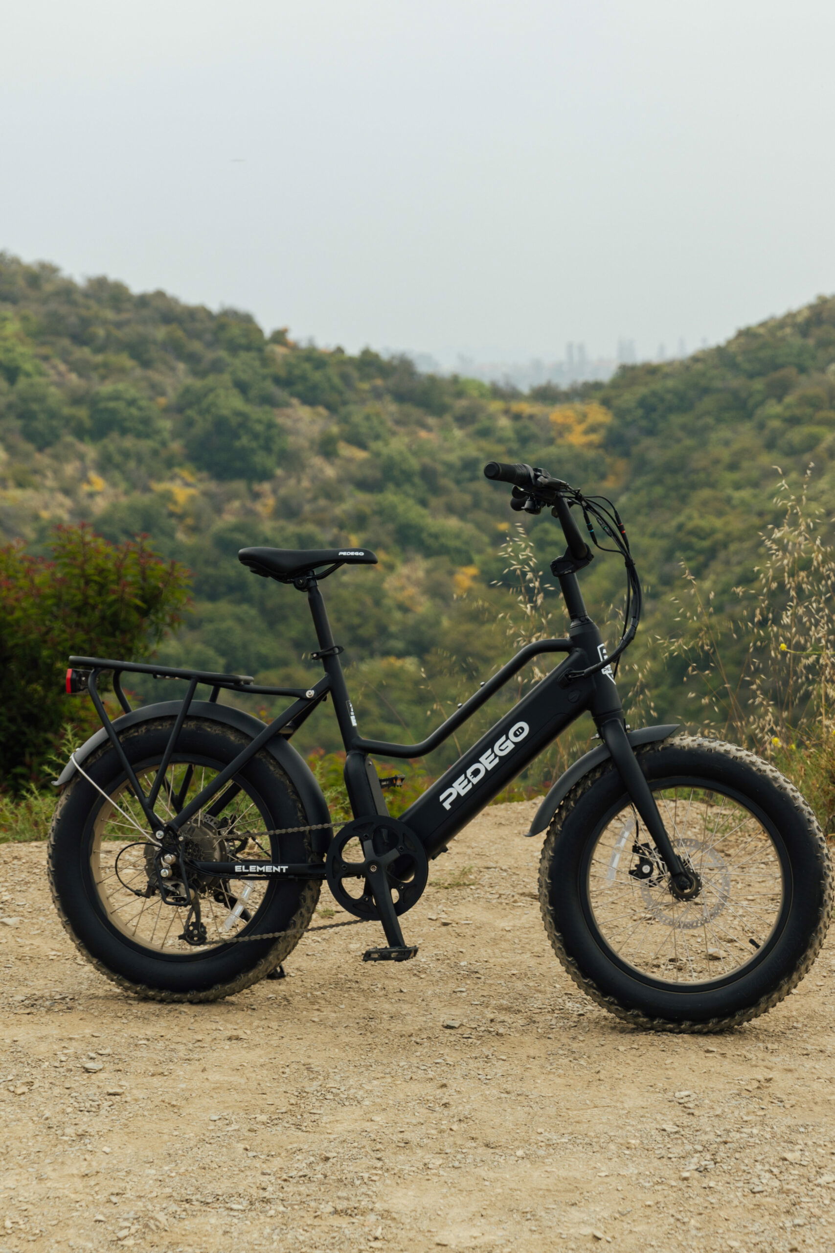 Black Pedego Element in the mountains